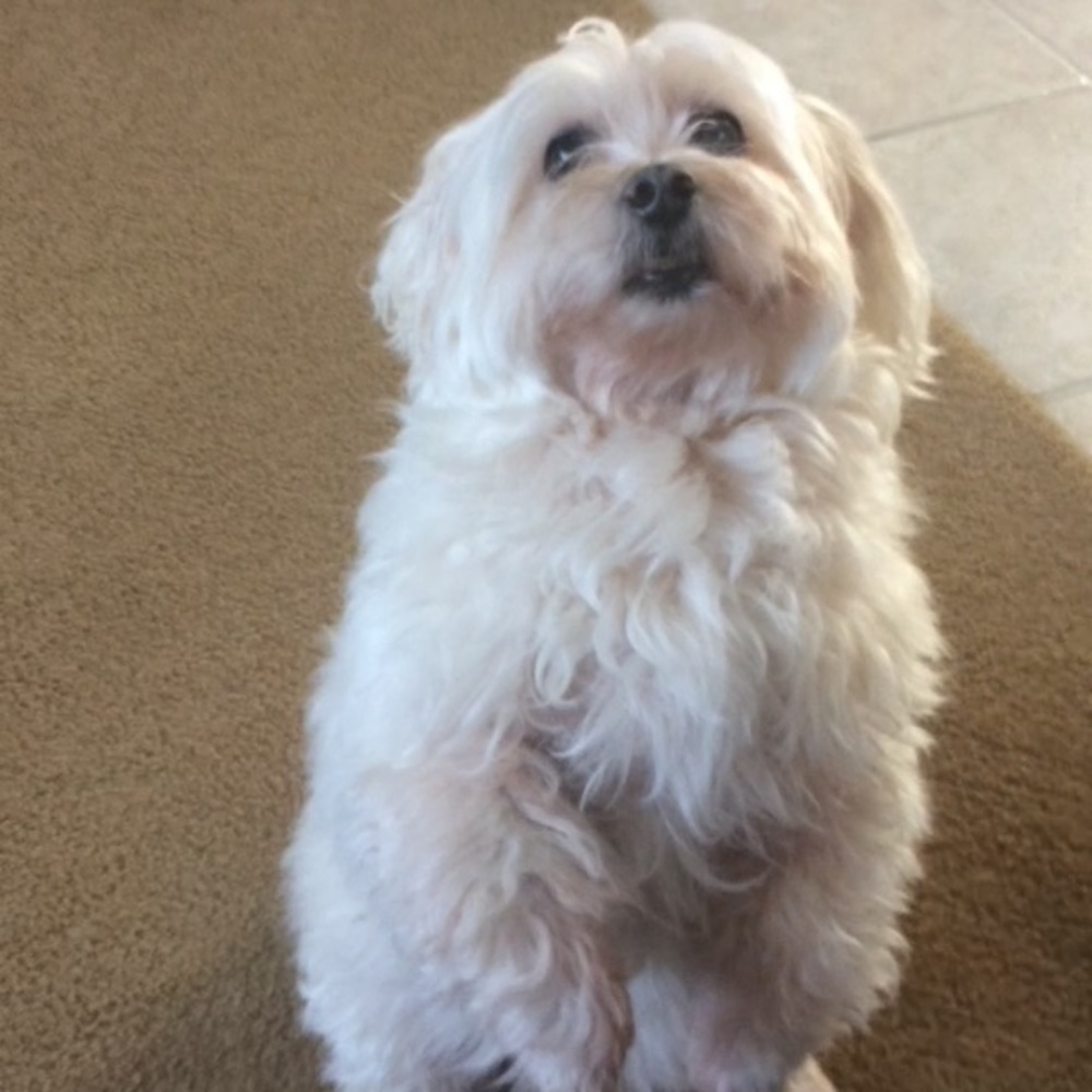 Meet your Posher, Rebecca